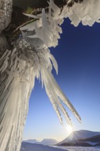 Ice formations, icicles, frozen lake, sun star, sun, snow, mountains, winter, Torneträsk, Laponia,