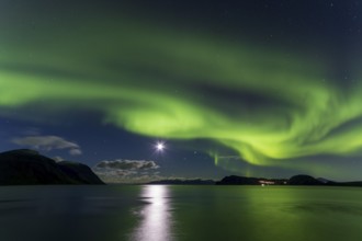 Northern Lights, (Aurora borealis) at a fjord near Skjiervoya, September 2024, Lapland, Finnmark,