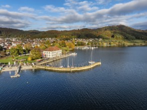 Aerial view of Lake Constance with the municipality of Bodman-Ludwigshafen with autumnal vegetation