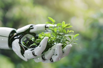 White artificial intelligence AI robot hand holding plants. KI generiert, generiert, AI generated