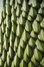 Facade of a building inspired by the skin of a cactus with natural methods of heat regulation and