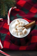 A close-up of a steaming cup of hot cocoa topped with marshmallows, surrounded by cinnamon sticks,