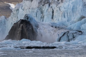 Calving glacier, calving, edge of Negribreen, Stjorfjord, Spitsbergen Island, Svalbard and Jan