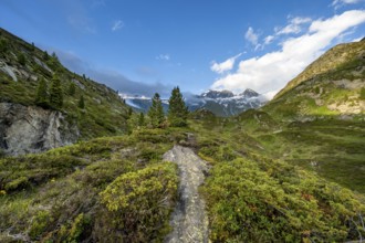 Mountain landscape mountain peak Kleiner Mörcher, Berliner Höhenweg, Zillertal Alps, Tyrol,