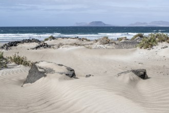 Dune landscape, Playa de Famara, Lanzarote, Canary Islands, Spain, Europe