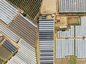 Plastic greenhouses with strawberry cultivations and other cultivated fields near the town of Lepe.