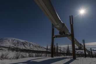 Oil production in the Arctic, Trans Alaska Pipeline, full moon, night shot, winter, Dalton Highway,