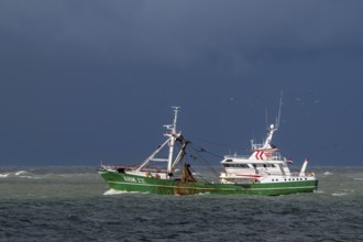 Dutch trawler Klaas Adriana ARM-22 bottom trawling and electric pulse fishing along the North Sea