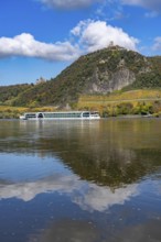 Drachenfels, a mountain in the Siebengebirge on the Rhine between Bad Honnef and Königswinter, with