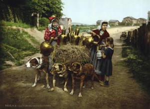 Milk seller with a cart pulled by dogs, bar, Brussels, Belgium, ca 1895, Historic, digitally