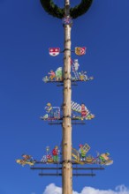 Maypole on the market square, close-up, Seligenstadt, Hesse, Germany, Europe