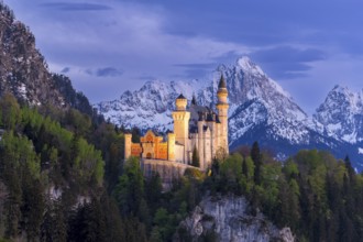 Neuschwanstein Castle near Füssen, Schwangau, Allgäu Alps, night shot, illuminated, snow, East