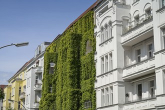 Old buildings, Regensburger Straße, Schöneberg, Berlin, Germany, Europe