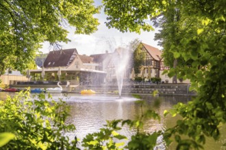 A lake with a fountain and traditional houses, an idyllic and summery city view, Stadtpark Kleb,