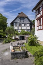 Village fountain and ivy house, historic half-timbered houses in the village centre of Kattenhorn