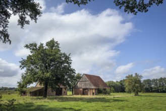 East Westphalian farmhouse, cottage, building, architecture, old, rural, living, lonely, tree, East