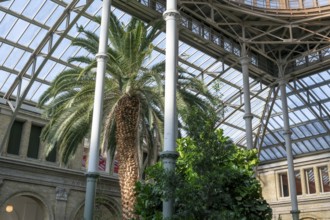 Palm Garden, Ny Carlsberg Glyptotek or New Carlsberg Glyptothek, art museum for sculpture and