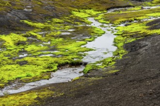 Colourful volcanic landscape with hills and snow, volcanic hot springs, Laugavegur trekking trail,