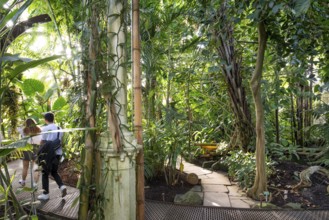 Couple crossing path of stone slabs meandering through dense tropical plants, historic greenhouse,