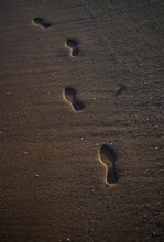 Footprints, sandy beach, Meia Praia beach, Lagos, Atlantic Ocean, evening light, Algarve, Portugal,