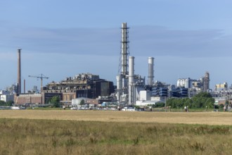 BASF, Lugwigshafen am Rhein, industrial area, Felder, Mannheim, Baden-Württemberg, Germany, Europe