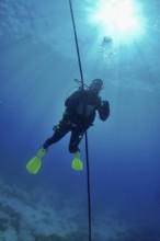 Diver making a safety stop in deep blue water with the sun shining above her. Dive site Punta