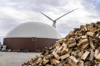 Biogas plant produces gas from various biomass, here the wood storage, the electricity is produced