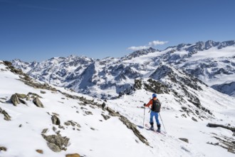 Ski tourers descending from the summit of the Madritschspitze, mountain panorama with snow-covered