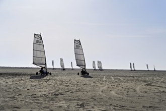 Beach sailor on a sandy beach, De Cocksdorp, North Sea, Texel, West Frisian Islands, Province of