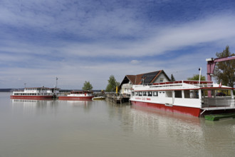 Bicycle ferry at the landing stage, Illmitz, National Park, Lake Neusiedl, Seewinkel, Burgenland,