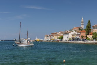 Old town centre with Sveta Eufejima church, Rovinj, Istria, Croatia, Europe