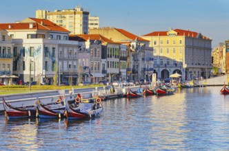 View of moliceiro boats floating on Aveiro river main lagoon, Aveiro, Portugal, Europe