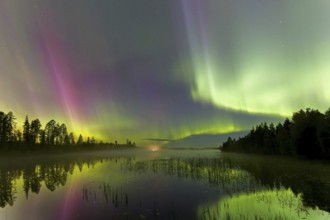 Northern Lights, Aurora borealis, polar lights, weather phenomenon showing natural light display