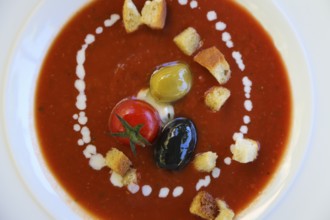 Restaurant Schloss Haigerloch, Gazpacho, cold Spanish vegetable soup, pureed tomatoes and red