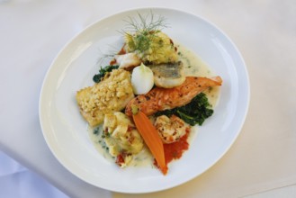 Restaurant Schloss Haigerloch, fine fish, salmon, scallop, char, spinach, dill, carrot, fine