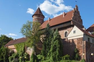 Historic castle with overgrown walls and tiled roofs under a blue sky, Olsztyn Castle, Olsztyn,