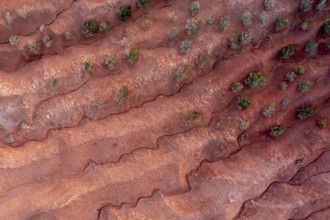 Red earth, erosion, above the cliff, Agulo, La Gomera, Canary Islands, Spain, Europe