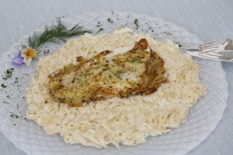 Swabian cuisine, fillet of Lake Constance whitefish with herbs and creamed cabbage, sauerkraut,