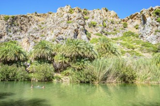 View of River Megalopotamos and Preveli palm forest, Rethymno, Crete, Greek Islands, Greece, Europe