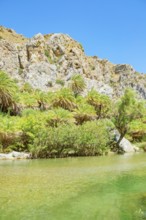 View of River Megalopotamos and Preveli palm forest, Rethymno, Crete, Greek Islands, Greece, Europe