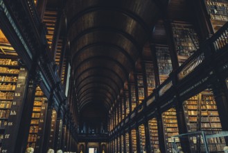 Library of Trinity College, Dublin