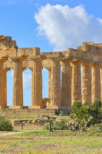 Temple of Hera or Temple E, Selinunte Archaeological Park, Selinunte, Trapani district, Sicily,