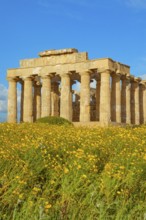 Temple of Hera or Temple E, Selinunte Archaeological Park, Selinunte, Trapani district, Sicily,