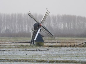 Traditional windmill set in a wintery landscape of the nature reserve Waalenberg, island of Texel,