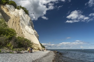 Cliffs and chalk cliffs Møns Klint, Mön Island, Denmark, Europe