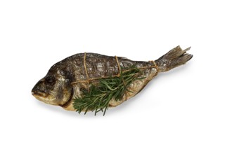 Dorado fish, hot smoked, with a sprig of rosemary, tied with a rope, on a white background, top