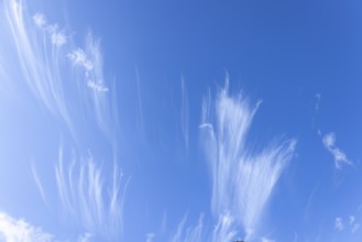 Scenic dramatic summer clouds. Cloudscape of bright blue sky. Cloud background