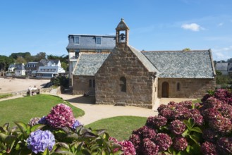 A historic stone church surrounded by hydrangeas and traditional buildings in sunny weather,