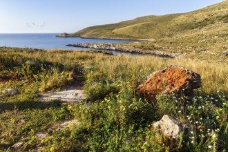 Barren landscape at Cape Tenaro, Cape Tainaron, Cape Matapan, trail at the southern tip of the