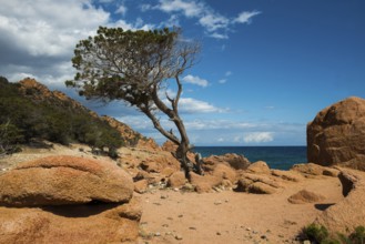 Red rocks and sea, Spiaggia di Coccorocci, near Tertenia, Province of Ogliastra, Sardinia, Italy,